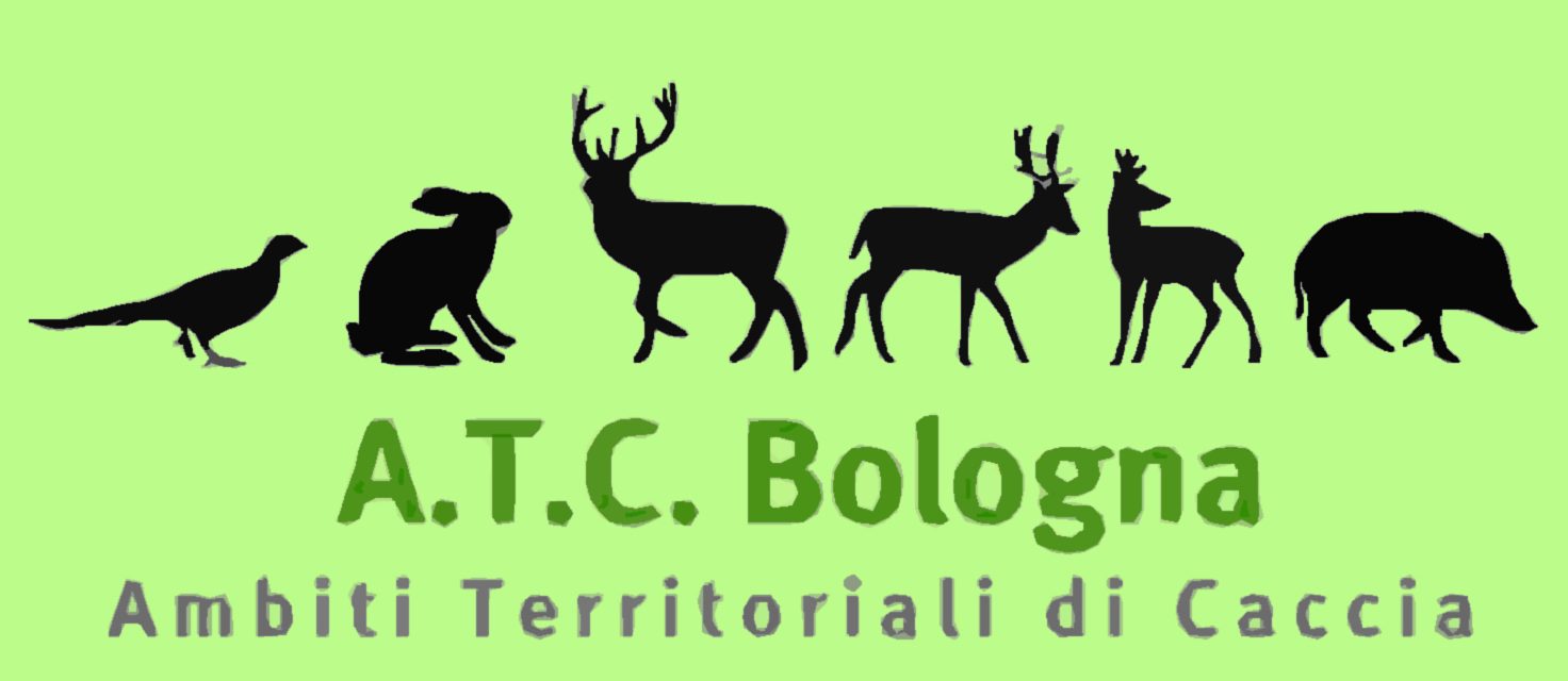 Atc Bologna